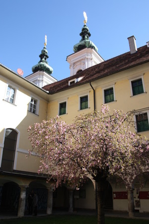 Foto: Christa Wiener-Pucher